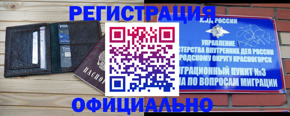 купить прописку в Мытищах